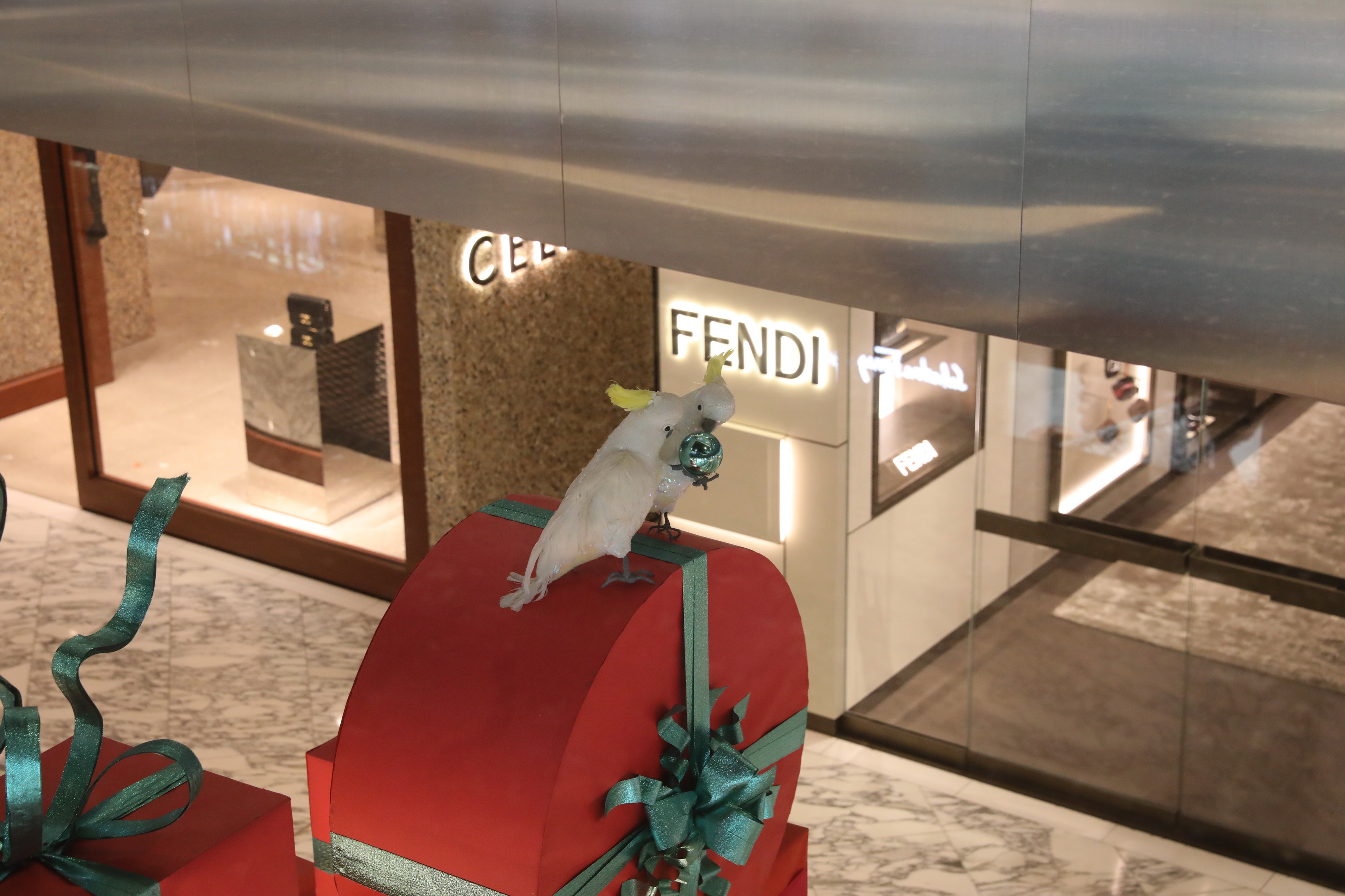 2020 01 02 11 37 29 Canon EOS 5D Mark IV 0020